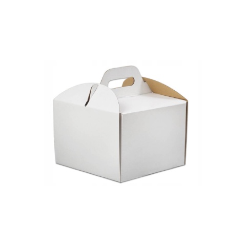 KARTON TORT 18/18/10 A100